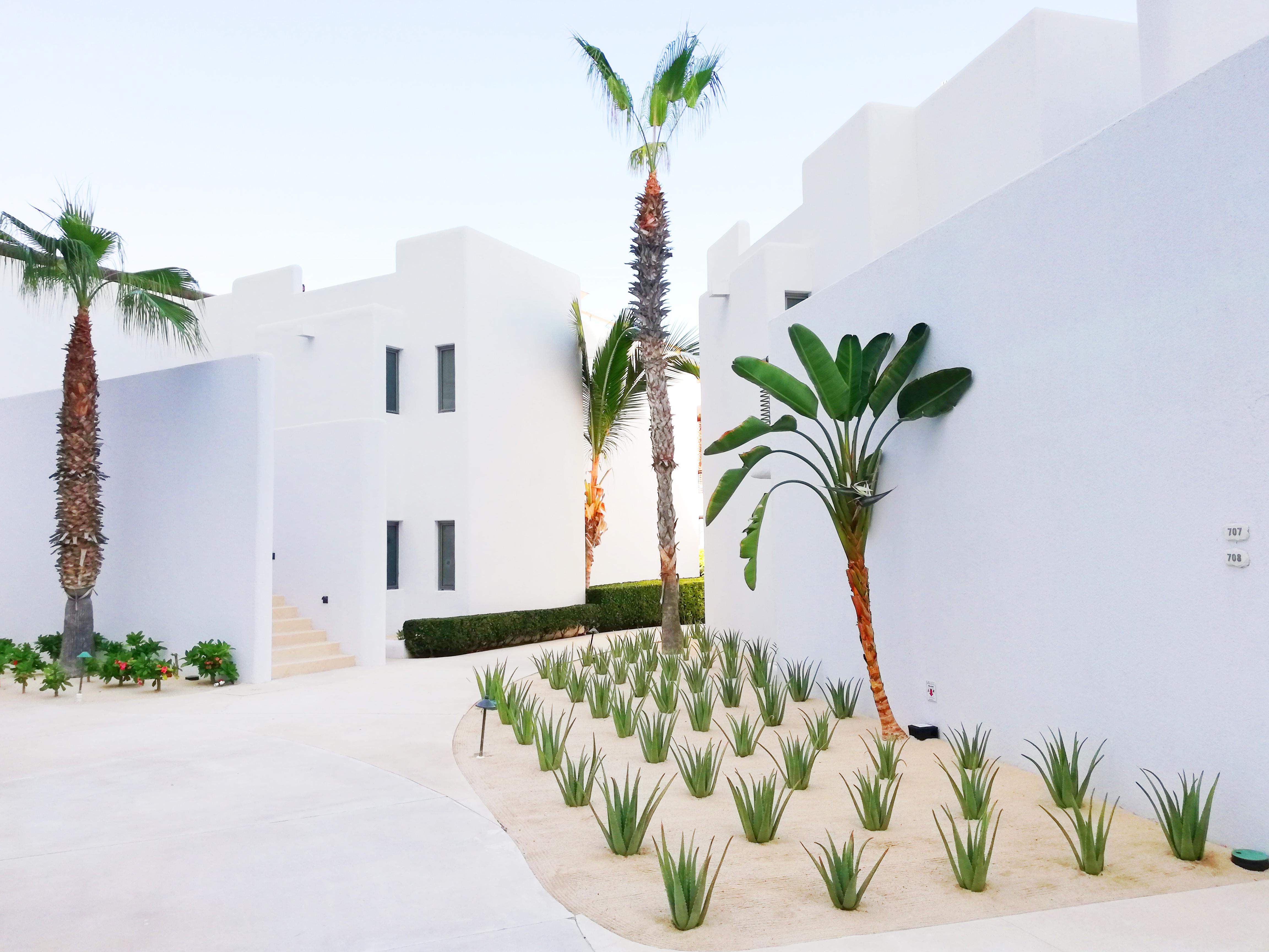 Marquis Los Cabos, An All - Inclusive, Adults - Only & No Timeshare Resort San José del Cabo Dış mekan fotoğraf